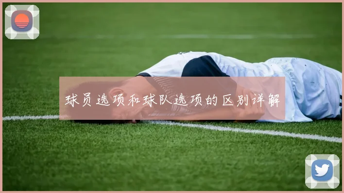 球员选项和球队选项的区别详解