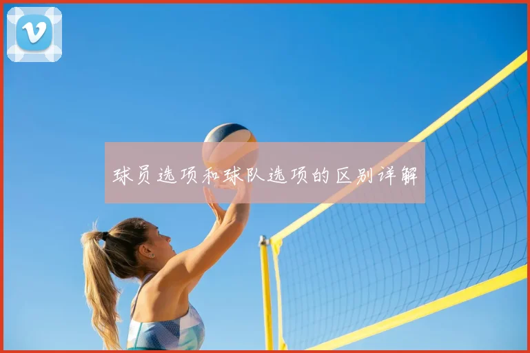 球员选项和球队选项的区别详解